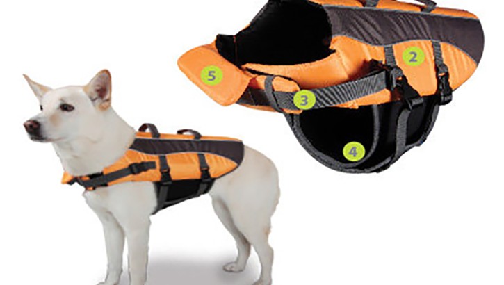 Best Dog Life Preservers