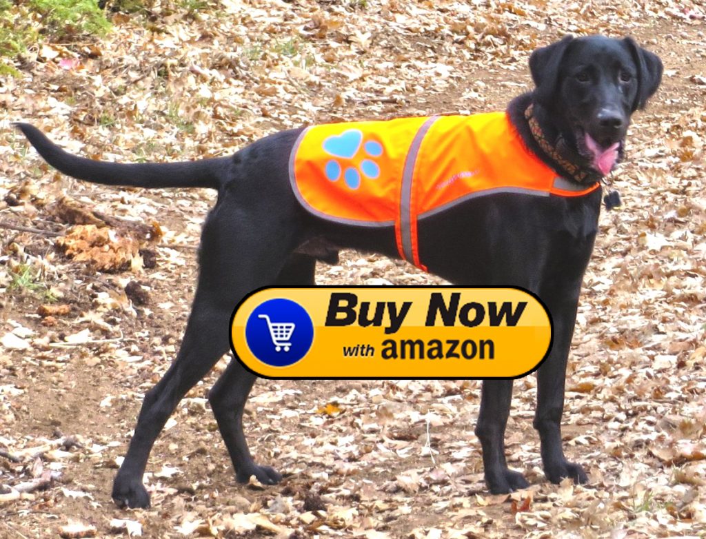 Reflective Dog Safety Vest