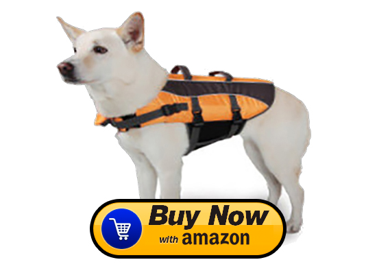 best dog life preservers