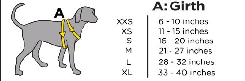 dog life jacket sizes