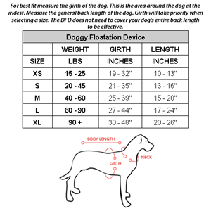 Labrador Dog Size Chart