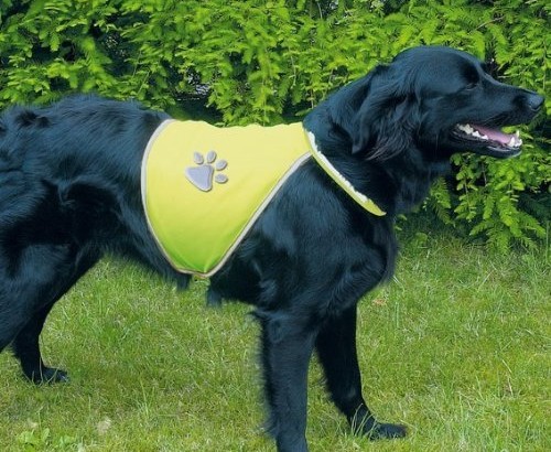 Reflective Dog Safety Vest