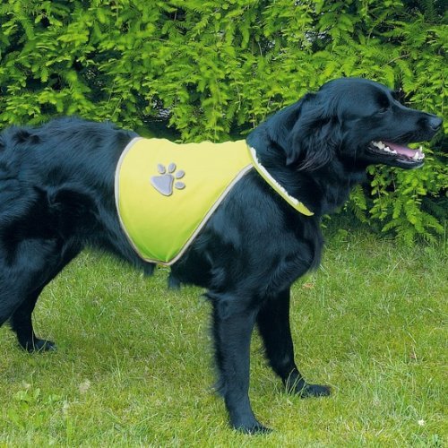 Reflective Dog Safety Vest