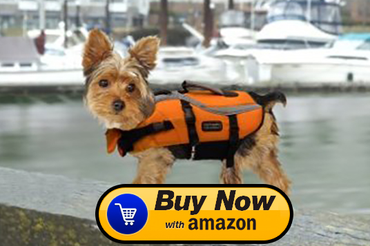 small dog life jacket