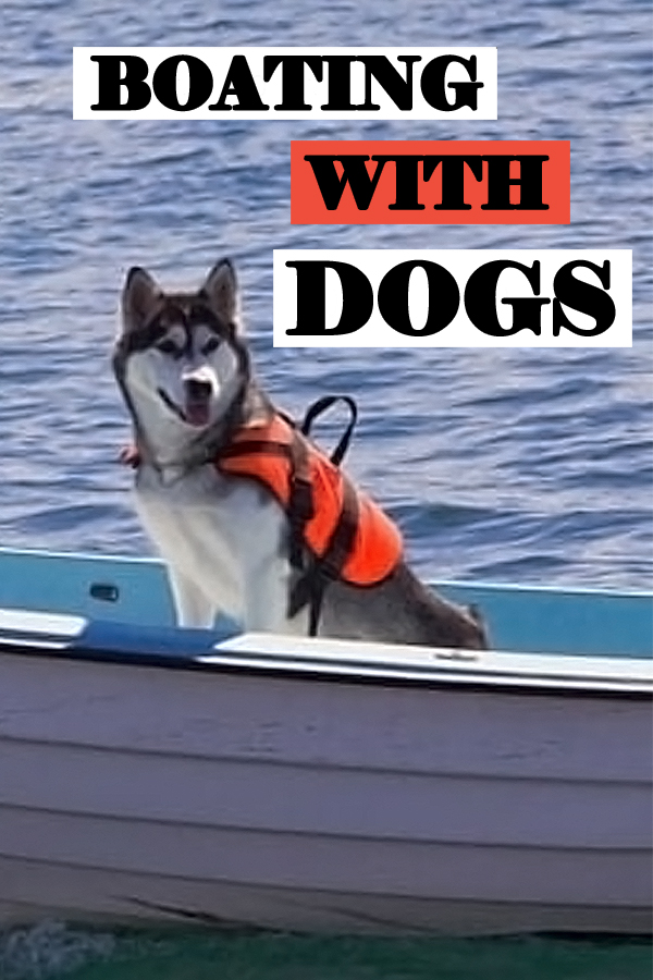 Boating With Dogs