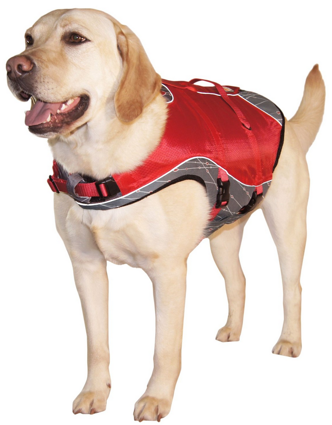 Kurgo Atomic Drop Dog Life Jacket best