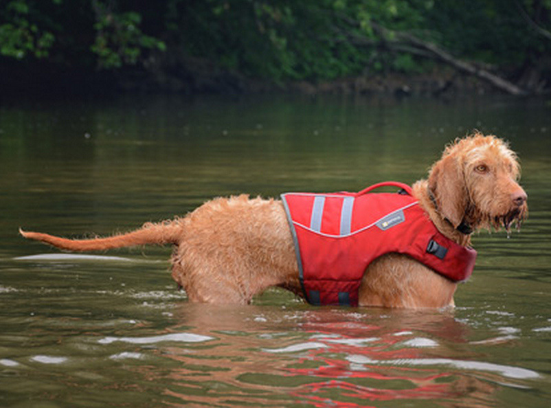 ruffwear reflective dog vest