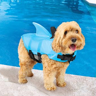 life jacket small dog