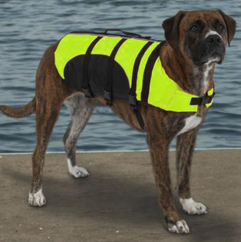 best dog life vest