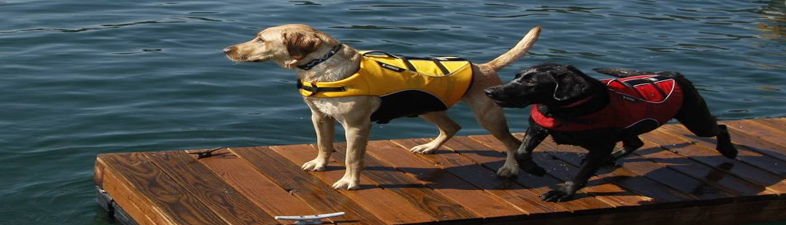 Pet Life Jackets