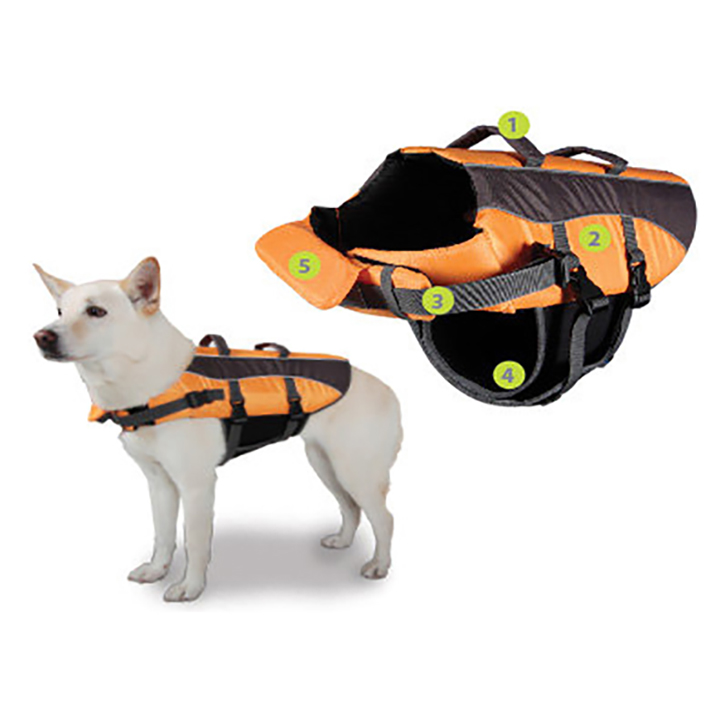 Best Dog Life Preservers