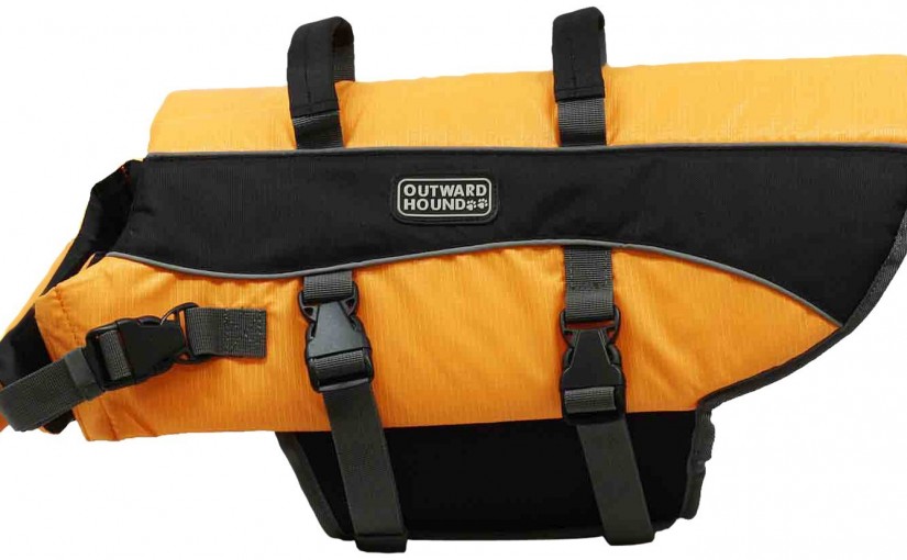 Best Dog Life Jackets For Large Dogs