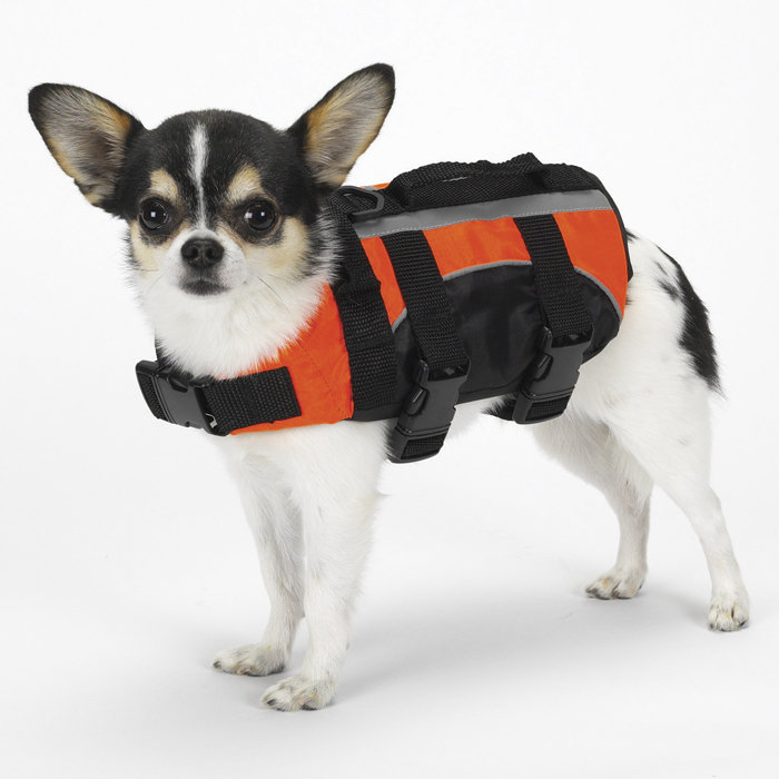 Aquatic Dog Life Jacket by Guardian